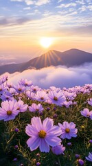 Obraz premium sunset, cosmos flowers, beautiful nature photography, cinematic with beautiful light and shadow, dark sky, flower field, distant mountains, warm tones, romantic, delicate details, natural environment