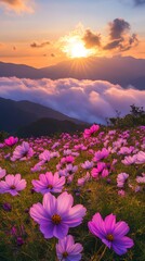 Obraz premium sunset, cosmos flowers, beautiful nature photography, cinematic with beautiful light and shadow, dark sky, flower field, distant mountains, warm tones, romantic, delicate details, natural environment