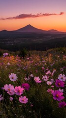 Fototapeta premium sunset, cosmos flowers, beautiful nature photography, cinematic with beautiful light and shadow, dark sky, flower field, distant mountains, warm tones, romantic, delicate details, natural environment