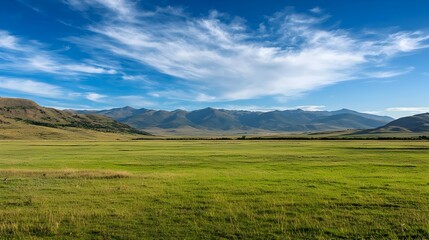 Fototapeta premium Vast Green Grassland with Distant Mountains under a Blue Sky