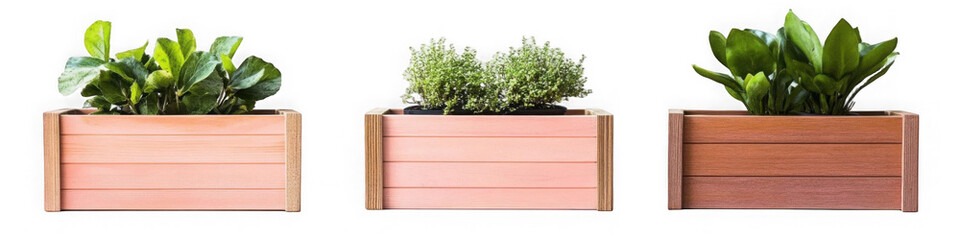 Wooden planters with assorted potted plants herbs and greenery placed on shelves for a stylish and functional indoor or outdoor gardening display A natural eco friendly decor solution for the home