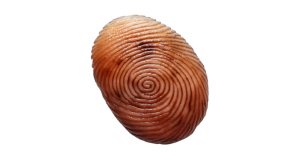 Brown Spiral Design Abstract Oval Texture, Artistic Curves for Background Themes, isolated on transparent background.