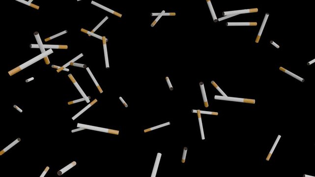 Falling cigarettes, seamless loop on transparent alpha channel chromokey. 4k endless animation