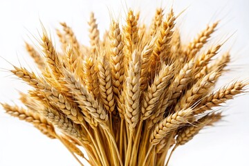 Fototapeta premium Golden Wheat Sheaf on White: Rustic Harvest Still Life Stock Photo