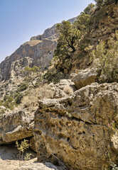 empty bed of a river that flows through a topolia gorge on the crete