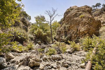 empty bed of a river that flows through a topolia gorge on the crete