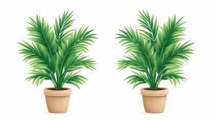 Two potted palms sit on white backdrop. Good for decoration, interior design