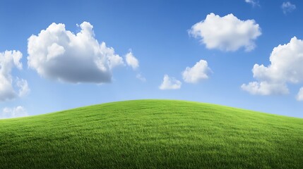 Fototapeta premium Rolling Green Hill Under a Blue Sky with Fluffy Clouds