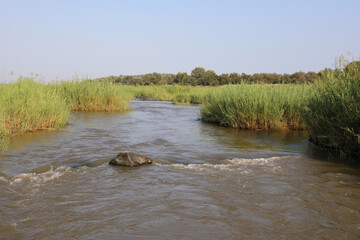 Olifants River/ Olifants River /