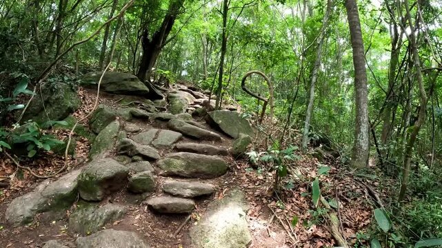 Rio de Janeiro - Rio de Janeiro - Brazil - December 14, 2024: Hiking Trail to Urca Mountain &ndash; Rio de Janeiro, Brazil.