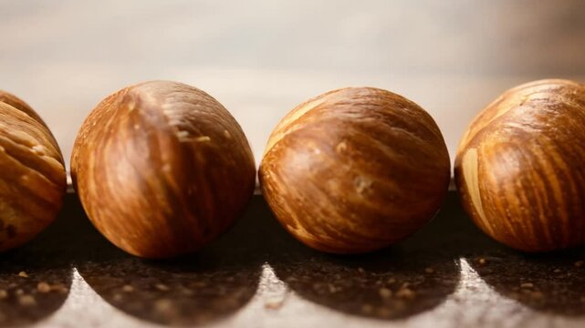 Camera pans left across a row of light brown hazelnuts with a smooth, hard shell in a neat line, soft, even lighting highlights the nuts' natural color