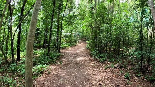 Rio de Janeiro - Rio de Janeiro - Brazil - December 14, 2024: Hiking Trail to Urca Mountain &ndash; Rio de Janeiro, Brazil.