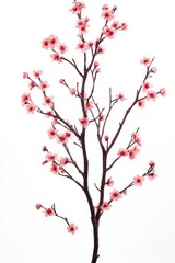 Beautiful cherry blossom tree branch with blooming flower.