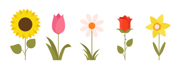 Flat floral collection. Colorful minimalist flowers for spring and summer design