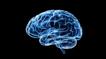 3D Rendering Of A Blue Brain On Black Background