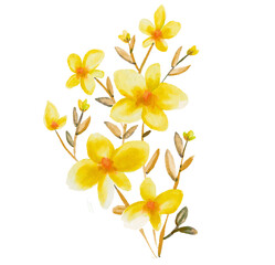 Set watercolor elements of pink roses; collection garden flowers; leaves; branches. Botanic; illustration, eucalyptus; Wedding floral design