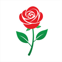 red rose isolated on white background