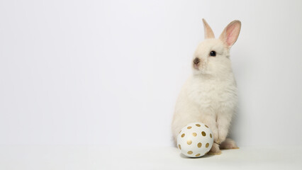 White bunny with speckled egg on Easter holiday