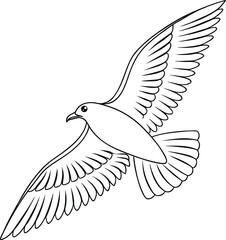 Elegant Line Drawing of a Bird in Flight, Soaring, Wings Spread