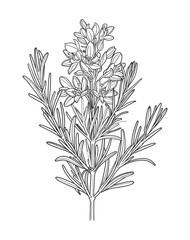 Victor Illustration Of Floral Flower