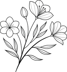 Elegant Line Art Floral Bouquet Simple Flowers, Botanical Drawing