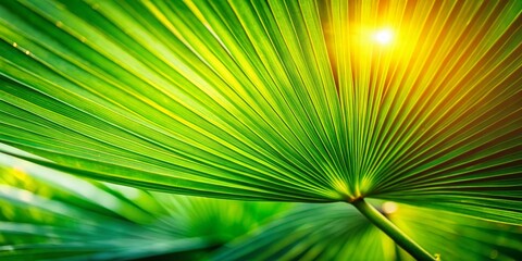 Fototapeta premium Lush Green Palm Leaf Close-Up with Bokeh Background - Stock Photo