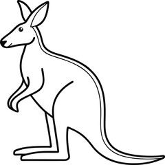 Line drawing of a kangaroo, Australian marsupial, wildlife illustration