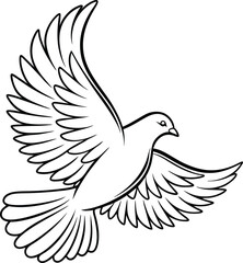 White Dove in Flight Peace, Hope, Spirit, Symbol, Freedom