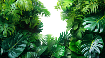 Tropical Green Leaves Exotic Jungle Foliage, Vibrant Summer Plants for Nature Themes, isolated on transparent background.