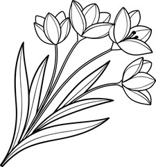 Elegant Line Art Drawing of Spring Crocus Flowers Bouquet