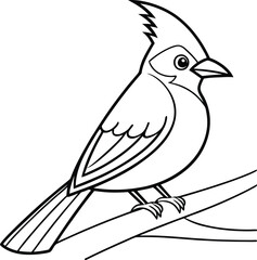 Line Art Drawing of a Perched Stellers Jay Bird