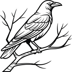 Majestic Black Raven Perched on Bare Branch, Bird Illustration