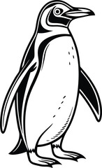Magellanic Penguin Illustration Black and White Line Art Drawing
