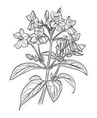 Victor Illustration Of Floral Flower