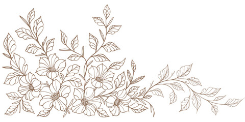 Fototapeta premium Line art floral botanical on transparent background vector. floral, flowers, leaves, foliage, branches in hand drawn. Floral frame design