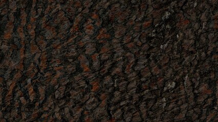 This image showcases a close-up view of a tree’s bark displaying rich brown tones and a rugged, textured surface.