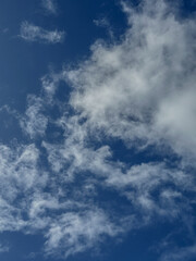 Fototapeta premium blue sky with clouds