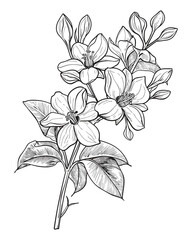 Victor Illustration Of Floral Flower