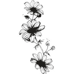 vector illustration of flowers