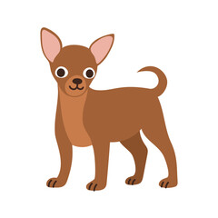 Cute chihuahua dog standing. Pet, breed. Isolated flat vector illustration