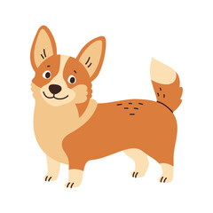 Cute corgi standing. Pet, breed. Isolated flat vector illustration