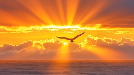 Naklejka premium Ocean sunrise, bird soaring, sun rays, cloudscape, freedom, hope, inspirational