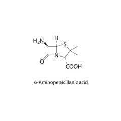 6-Aminopenicillanic acid skeletal structure.Beta-lactam antibiotic precursor compound schematic illustration. Simple diagram, chemical formula.