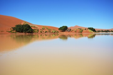 Wasser im Sossusvlei