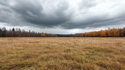 Autumn field under a dramatic sky. Wide open space. Possible use Nature photography