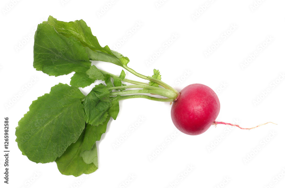 Wall mural Fresh red radish with green leaves isolated on white background, top view
