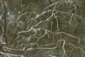 water surface with small waves reflecting twisted tree branches 2B 
