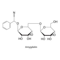 Amygdalin skeletal structure.Cyanogenic glycoside compound schematic illustration. Simple diagram, chemical formula.