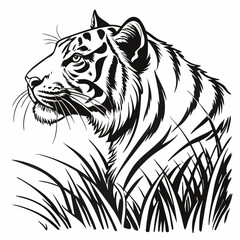 tiger vector illustration