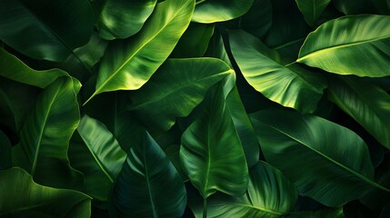 Green Background with High-Definition Texture